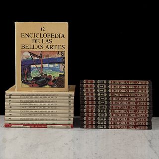 Libros sobre Historia del Arte.Historia del Arte. México: Salvat Mexicana de Ediciones, 1979 / Enciclopedia de las Bellas Artes. Pzs:23
