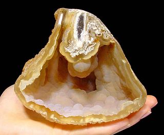 Dreamy Florida Agatized Coral Geode & Botryoidal Cavity