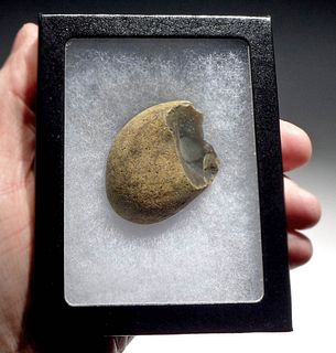 Rare Paleolithic British Oldowan Pebble Scraper Tool