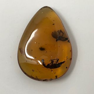 Amber pendant with two insects/  MYANMAR (BURMESE)