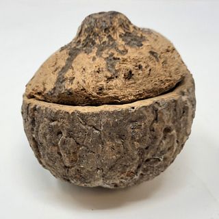 INCA, AZTEC, MAYA dried GOURD bowl with lid