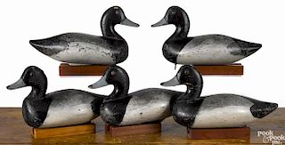 Rig of five Chesapeake Bay carved and painted bluebill duck decoys, mid 20th c., 13 1/2'' l.