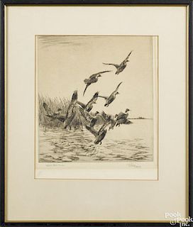 Richard E. Bishop (American 1887-1975), signed etching, titled Startled Black Ducks, 12'' x 10''.