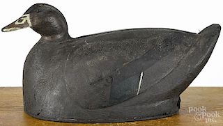 Oversized carved and painted black duck decoy, mid 20th c., with an applied metal scrolled tail