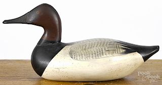 Upper Chesapeake Bay carved and painted canvasback duck decoy, mid 20th c., 15 3/4'' l.