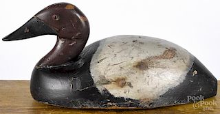 Midwestern carved and painted canvasback duck decoy, early 20th c., 16 1/2'' l.