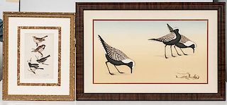 Two Bird Illustrations 