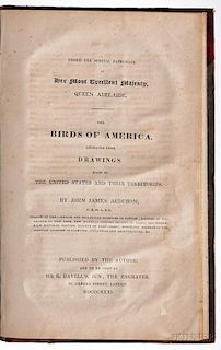 Audubon, John James (1785-1851) Ornithological Biography,   with the Prospectus for The Birds of America.