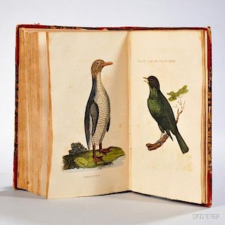 The Natural History of Birds, from the Works of the Best Authors, Antient & Modern: Embellished with Numerous Plates.