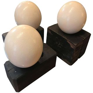 Three Ostrich Eggs on Decorative Wood Blocks