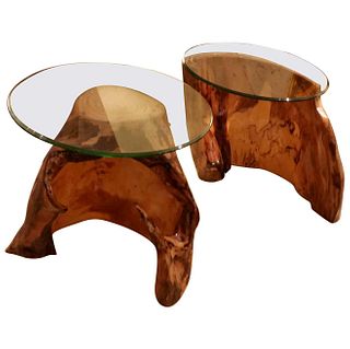 Pair of Asymmetric Burl Wood Drift Wood Side Tables