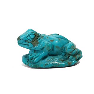 A TURQUOISE FROG