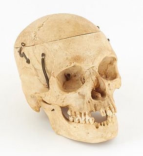 Human Medical/Dental Skull, 20th c., with spring hinges to the mandible, hook and eye connections for holding observation division points together, H.