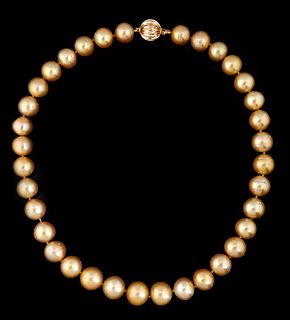 Graduated Strand of Thirty-Five Golden Color Tahitian Cultured Pearls, ranging from 12-14mm, with a 14K white gold ball clasp, L.- 17 1/2 in., with ap