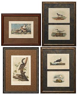 John James Audubon (1785-1851, Haitian/American), Six Octavo Lithographs, c. 1840-1850, hand-colored, consisting of "Rock Ptarmigan," No. 61, Plate 30