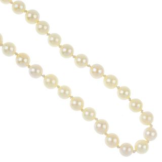A cultured pearl single-strand necklace. Comprising a strand of fifty-nine cultured pearls, measurin