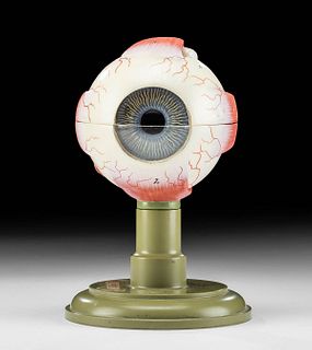 1960s German SOMSO Plast Anatomical Eye Model