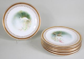 Nine Crescent & Sons Hand-Painted Bird Plates