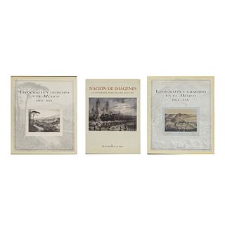 Lote de libros sobre Litografía en México. Litografía y Grabado en el México del Siglo XIX / Nación de Imágenes. Pieza: 3.