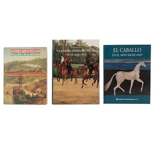 Libros sobre Pintura Militar, Ferrocarriles y Caballo Mexicanos. La Pintura Militar en México en el Siglo XIX / Ferrocarriles... Pzs: 3