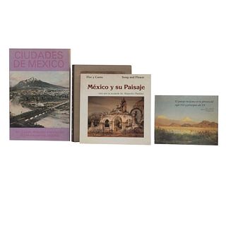 Libros sobre historia y paisaje mexicano. Imágen de México. Mapas, Grabados y Litografías / El Paisaje Mexicano...Pzs: 4.