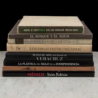 Lote de libros mixto. Visión Pictórica. México / El Bosque y el Agua / Museo de Arte del Estado de Veracruz. Pzs: 8.