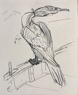 Henri Toulouse-Lautrec (After) - Sea Bird