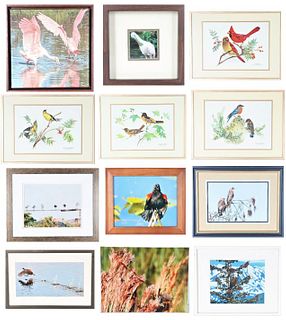 Bird Photographs, Bird Watercolor, Bird Prints