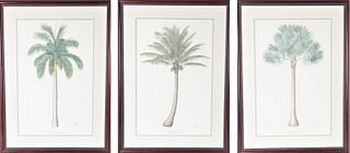 (3) Watercolors of Trees by Diane Peebles. 1990's