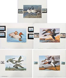 11 State Duck Stamps and Lithographs, 1984 - 1991