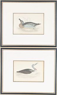 Pair of Small Duck Colored Engravings