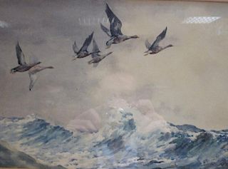 Cecil Hodgkinson, Geese in flight, watercolour and W Ebbs, Greenland Foley Museum, oil on board (2)