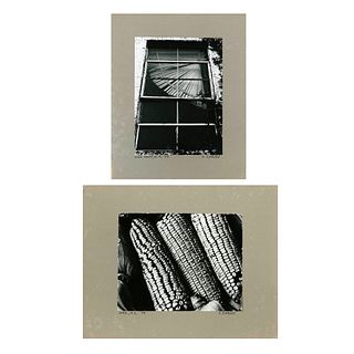 C. Carley, Two Photographs, 1974