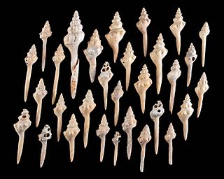 30 Mississippian Conch Shell Gorgets & Picks