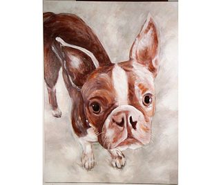 LUCY THE BOSTON TERRIER GICLEE ON CANVAS