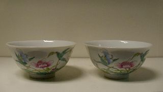 A pair of famille rose bowls bearing six character Guangxu marks, each exterior painted with a colle