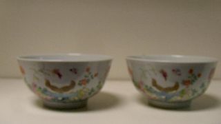 A pair of famille rose bowls, six character marks of Guangxu, each painted on the exterior with two