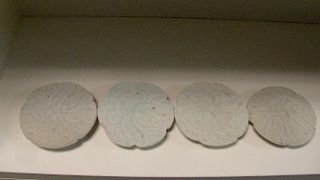 Four Song yingqing wine 'coasters', each cinquefoil shape cut from a bowl or plate and with incised