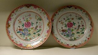 A pair of 18th century famille rose dishes, each painted with two exotic birds in flower gardens wit