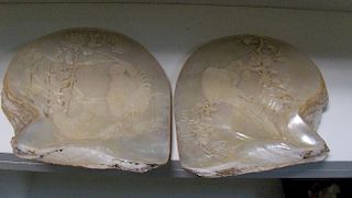 A pair of late 19th/early 20th century mother of pearl shells carved in relief on the nacreous sides