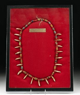 19th C. Lakota Necklace Glass Trade Bead & Coyote Teeth