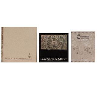 Libros sobre Códices. Los Códices de México / Le Codex de Xicotepec / Cuauhnáhuac 1450 - 1675. Pzs: 3.