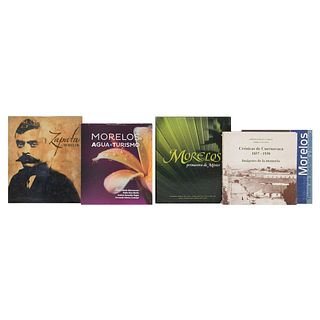 Lote de libros sobre el Estado de Morelos. Crónicas de Cuernavaca 1857 - 1930 / Zapata en Morelos / Morelos. Primavera de México. Pzs:5