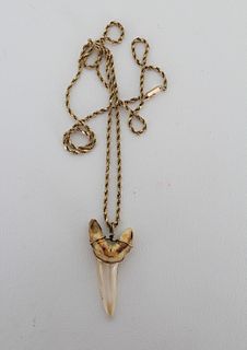 14K Gold Necklace w/ Sharks Tooth Pendant
