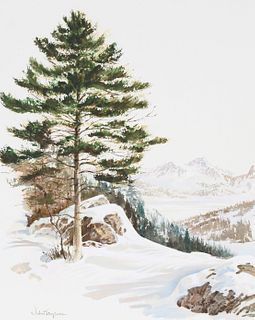 John Tayson (B. 1956) "White Pine Tree in Winter"