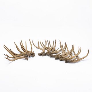 GROUP OF FOURTEEN PIECES, FAUX STAG HORNS