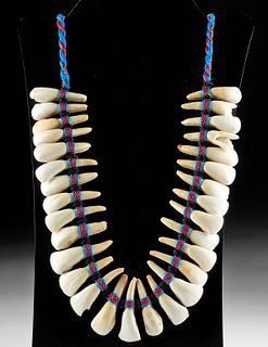 20th C. Native American Cord Necklace w/ Buffalo Teeth