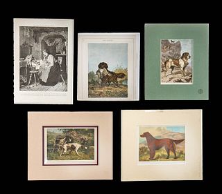 5 Antique American & British Hunting Dog Prints