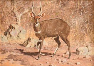 PAUL ROSE (South African 1931-2018) A PAINTING, "Bushbuck," 1990,