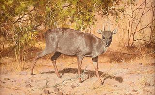 PAUL ROSE (South African 1931-2018) A PAINTING, "Duiker," 1988,